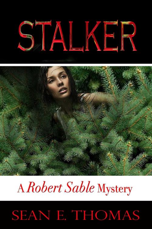 Cover of the book Stalker by Sean E Thomas, Whiskey Creek Press