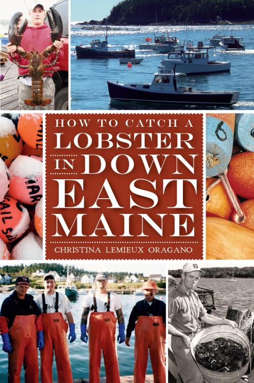 Cover of the book How to Catch a Lobster in Down East Maine by Christina Lemieux Oragano, Arcadia Publishing Inc.
