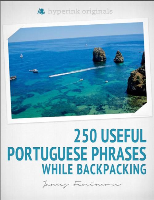 Cover of the book 250 Useful Portuguese Phrases while Backpacking by James Fenimore, Hyperink