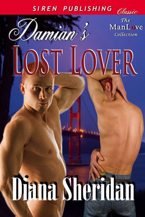 Cover of the book Damian's Lost Lover by Diana Sheridan, Siren-BookStrand