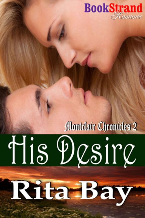 Cover of the book His Desire by Rita Bay, Siren-BookStrand