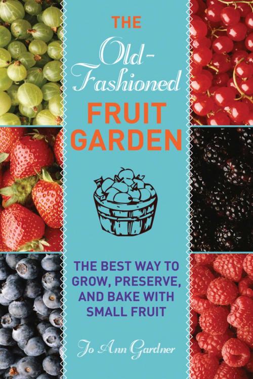 Cover of the book Old-Fashioned Fruit Garden by Jo Ann Gardner, Skyhorse