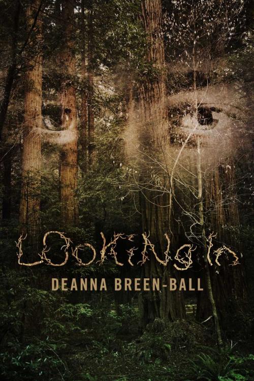 Cover of the book Looking In by Deanna Breen-Ball, BookBaby