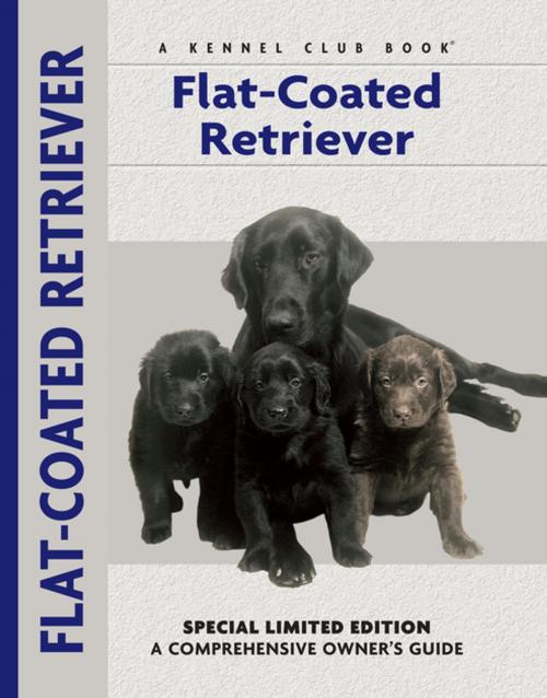 Cover of the book Flat-Coated Retriever by John Wakefield, CompanionHouse Books