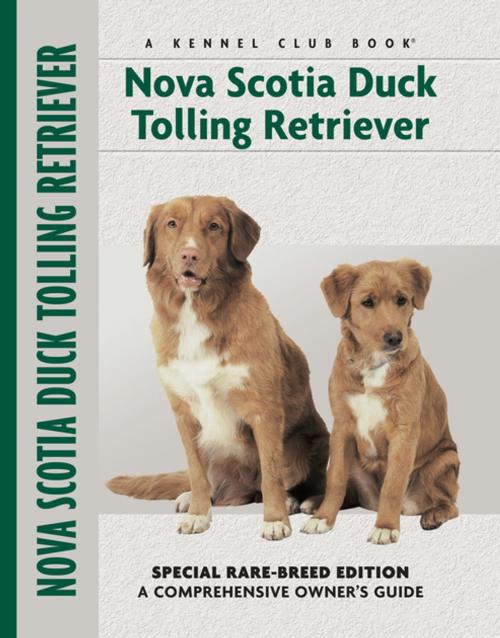 Cover of the book Nova Scotia Duck Tolling Retriever by Nona Kilgore Bauer, CompanionHouse Books