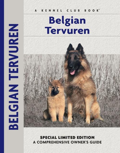 Cover of the book Belgian Tervuren by Robert Pollet, Dr., CompanionHouse Books