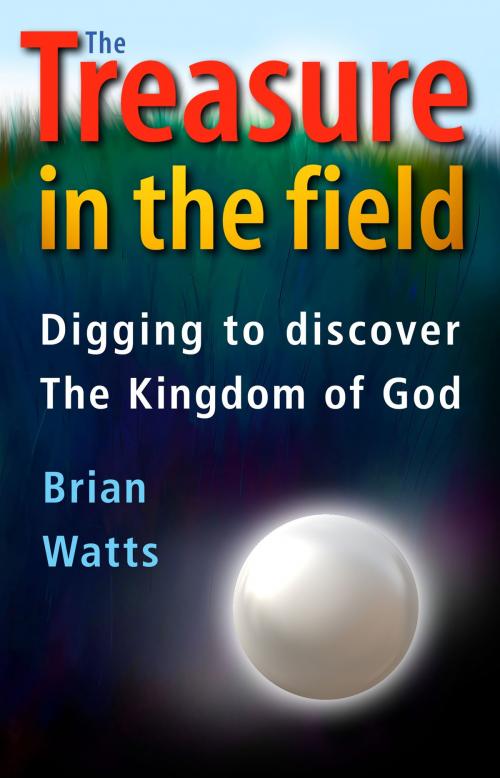 Cover of the book The Treasure in the Field by Brian Watts, Primedia eLaunch