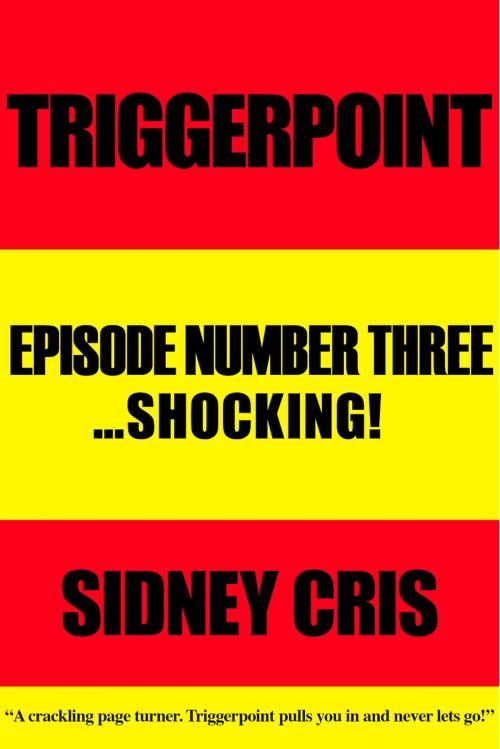 Cover of the book Triggerpoint: Episode Number Three...Shocking! by Sidney Cris, BookBaby