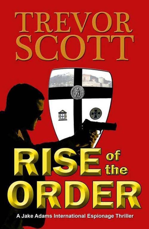 Cover of the book Rise of the Order by Trevor Scott, Salvo Press