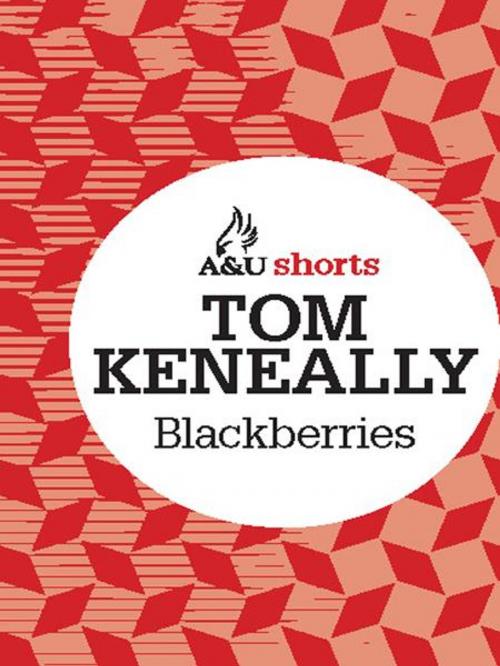 Cover of the book Blackberries by Thomas Keneally, Allen & Unwin