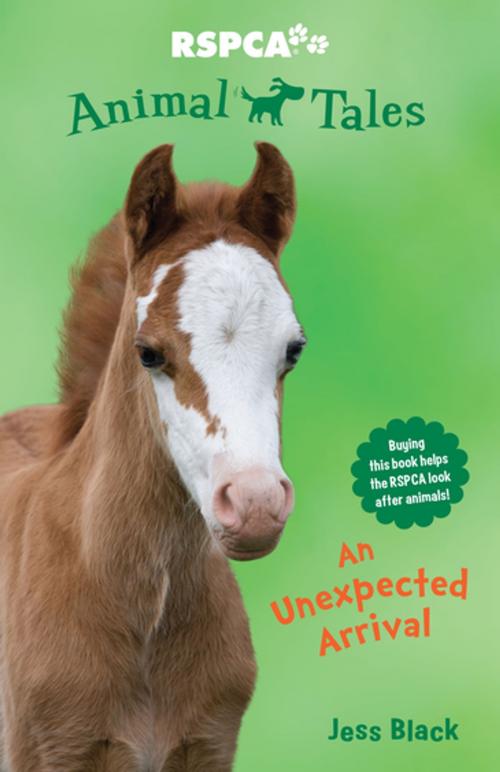 Cover of the book Animal Tales 4: An Unexpected Arrival by Jess Black, Penguin Random House Australia