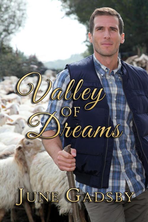 Cover of the book Valley of Dreams by June Gadsby, BWL Publishing Inc.
