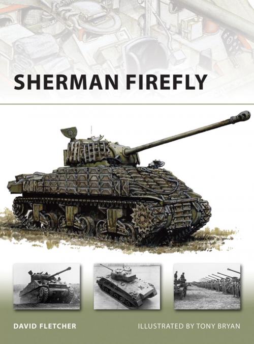 Cover of the book Sherman Firefly by David Fletcher, Bloomsbury Publishing