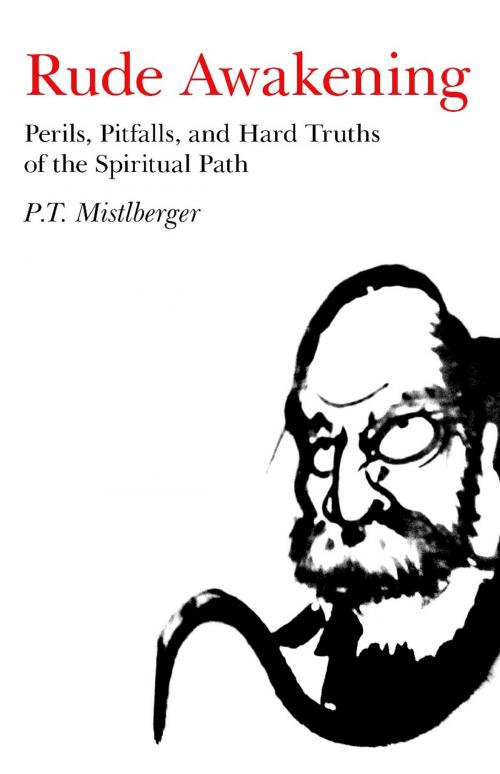 Cover of the book Rude Awakening by P. T. Mistlberger, John Hunt Publishing