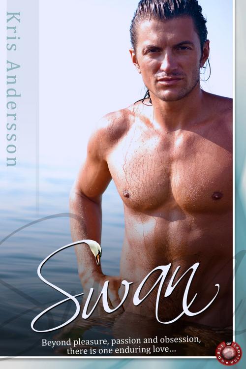 Cover of the book Swan by Kris Andersson, Andrews UK