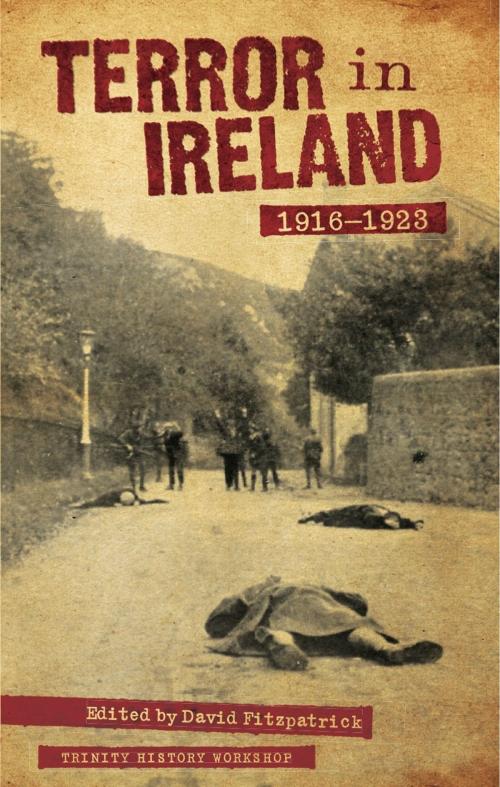 Cover of the book Terror in Ireland 1916-1923 by , The Lilliput Press