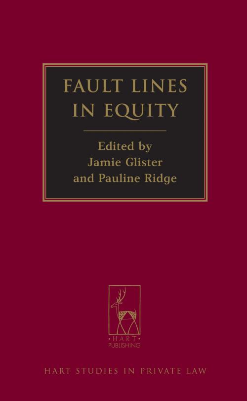 Cover of the book Fault Lines in Equity by , Bloomsbury Publishing