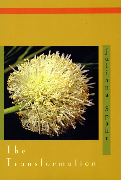 Cover of the book THE TRANSFORMATION by Juliana Spahr, Atelos Press