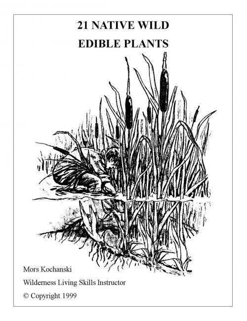 Cover of the book 21 Native Wild Edible Plants by Mors Kochanski, Karamat Wilderness Ways