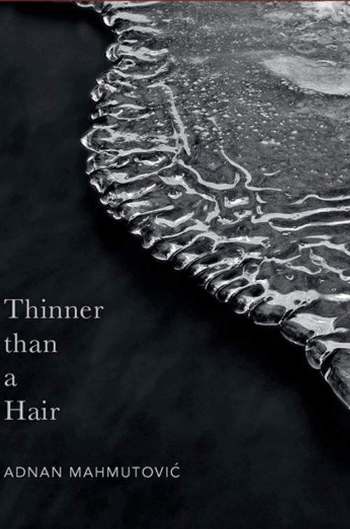 Cover of the book Thinner than a Hair by Adnan Mahmutovic, Cinnamon Press