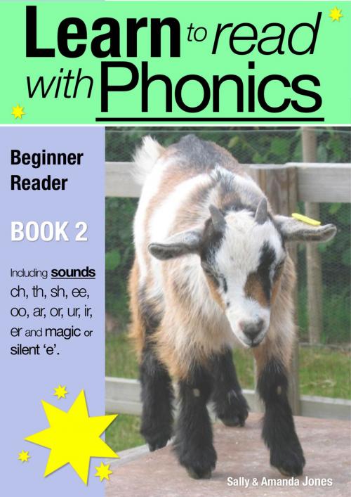 Cover of the book Learn to Read with Phonics - Book 2 by Sally Jones, Andrews UK