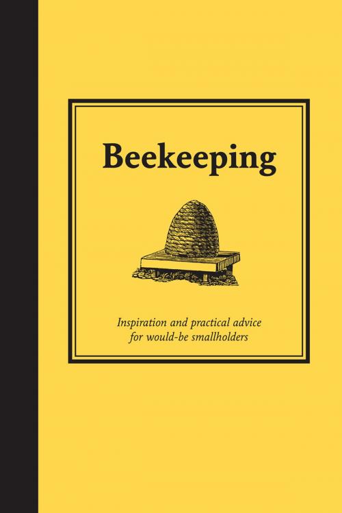 Cover of the book Beekeeping by Andrew T Davies, Pavilion Books