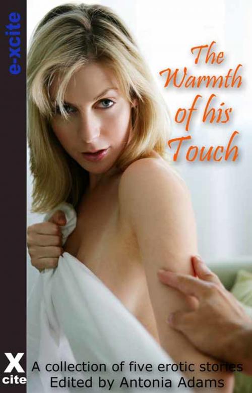 Cover of the book The Warmth of His Touch by Viva Jones, Maria Lloyd, Landon Dixon, Clarice Clique, L. A. Fields, Xcite Books