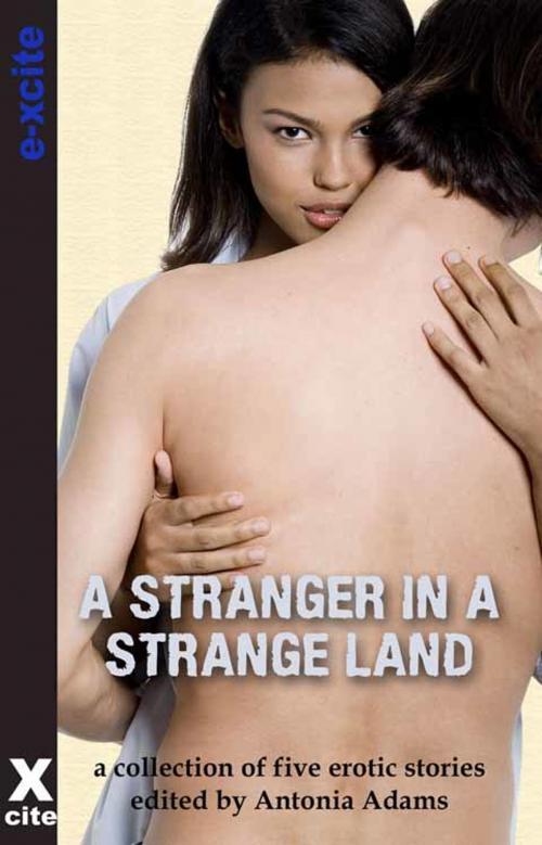 Cover of the book A Stranger in a Strange Land by Izzy French, Elizabeth Cage, Eva Hore, John McKeown, Dominic Santi, Xcite Books