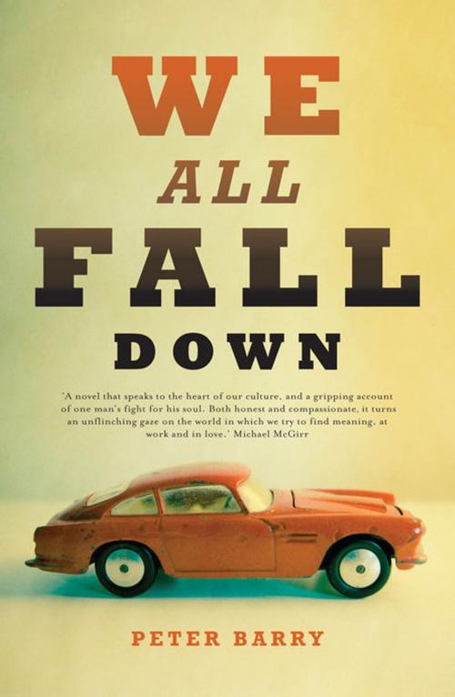 Cover of the book We All Fall Down by Peter Barry, Transit Lounge