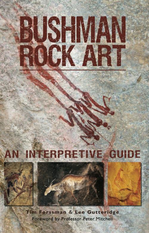 Cover of the book Bushman Rock Art by Tim Forssman, Lee Gutteridge, 30 Degrees South Publishers