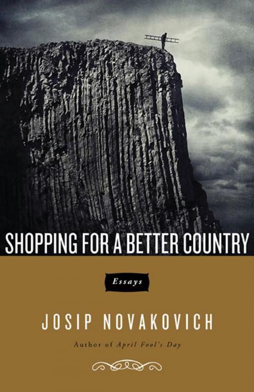 Cover of the book Shopping for a Better Country by Josip Novakovich, Dzanc Books