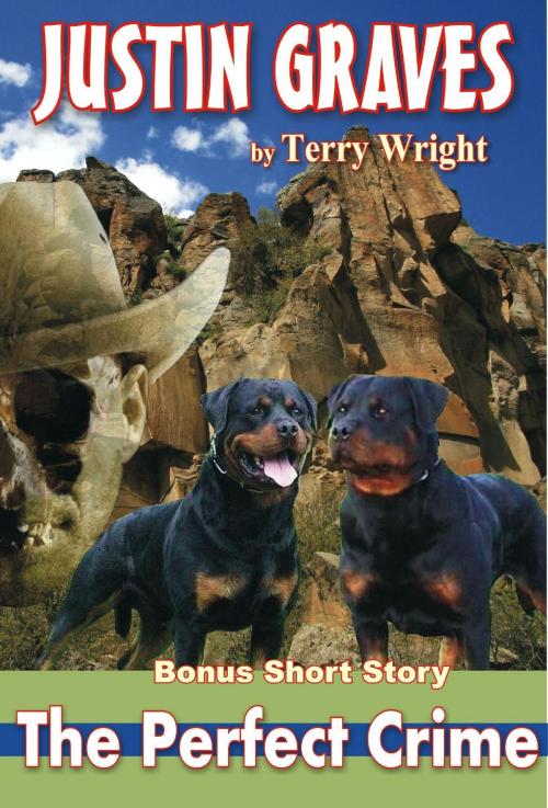 Cover of the book The Perfect Crime by Terry Wright, TWB Press
