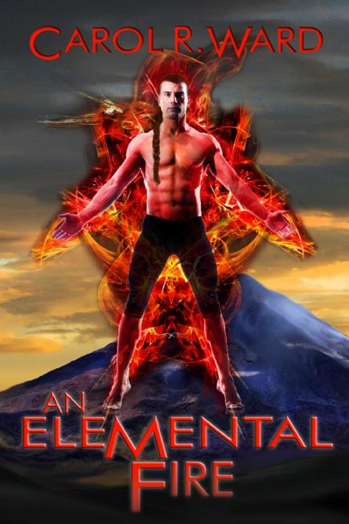 Cover of the book An Elemental Fire by Carol R Ward, Carol R Ward