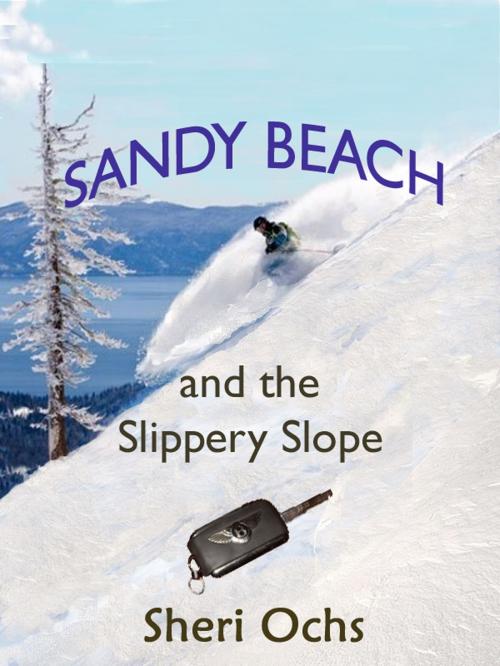 Cover of the book Sandy Beach and the Slippery Slope by Sheri Colberg-Ochs, Sheri Colberg-Ochs
