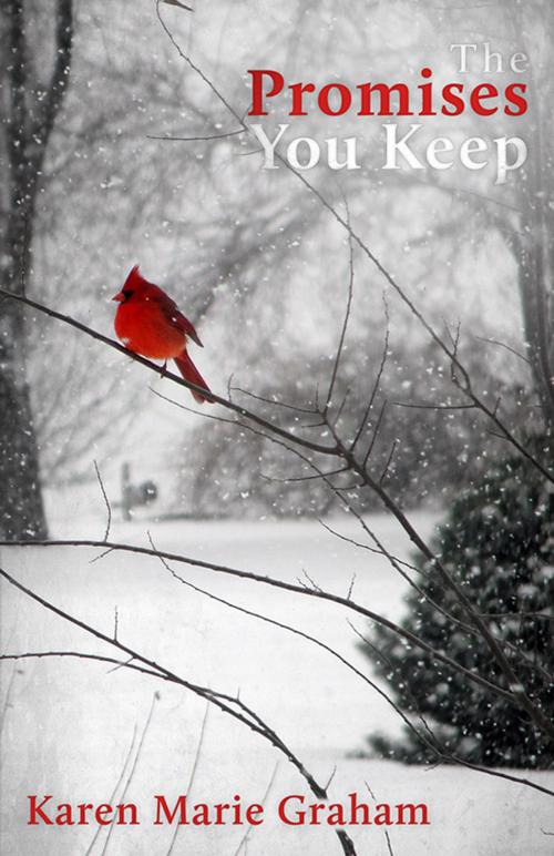 Cover of the book The Promises You Keep by Karen Marie Graham, Books-A-Daisy, LLC