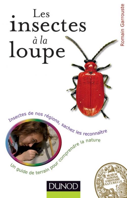 Cover of the book Les insectes à la loupe by Romain Garrouste, Dunod