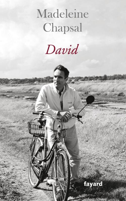 Cover of the book David by Madeleine Chapsal, Fayard
