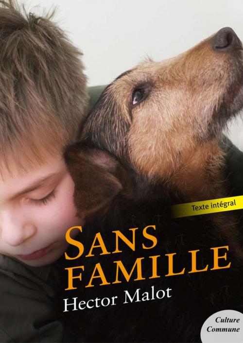 Cover of the book Sans famille by Hector Malot, Culture commune