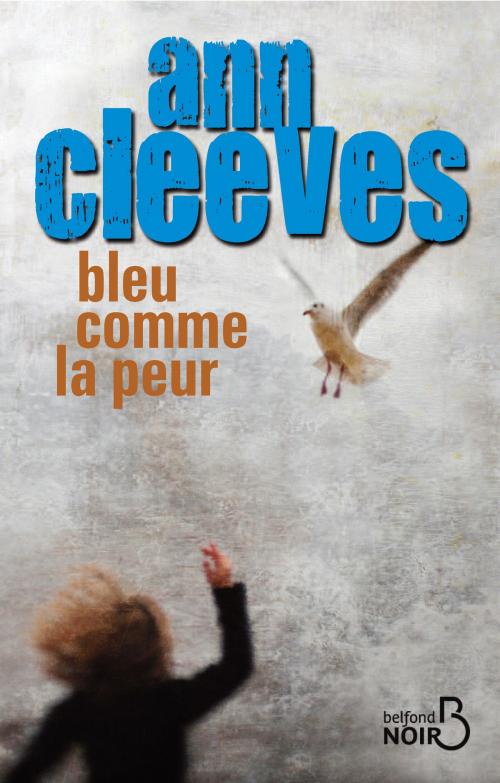 Cover of the book Bleu comme la peur by Ann CLEEVES, Place des éditeurs