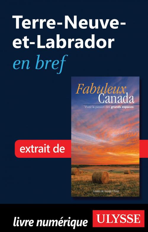 Cover of the book Terre-Neuve-et-Labrador en bref by Collectif Ulysse, Collectif, Guides de voyage Ulysse
