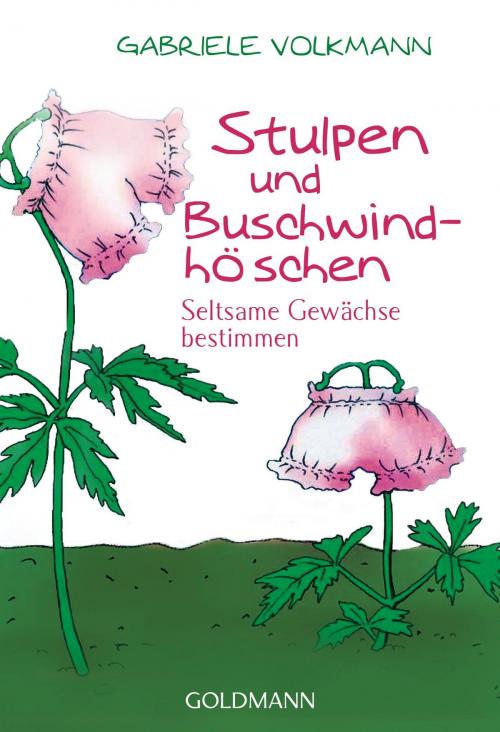 Cover of the book Stulpen und Buschwindhöschen by Gabriele Volkmann, Goldmann Verlag