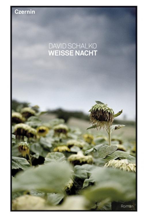 Cover of the book Weiße Nacht by David Schalko, Czernin Verlag