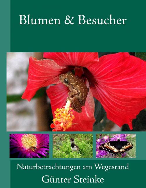 Cover of the book Blumen & Besucher by Günter Steinke, Books on Demand