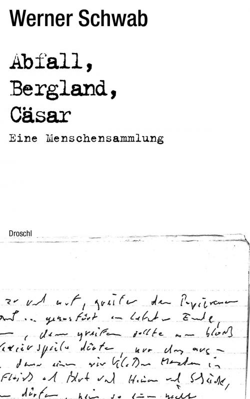 Cover of the book Abfall Bergland Cäsar by Werner Schwab, Droschl, M