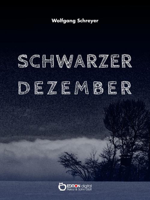 Cover of the book Schwarzer Dezember by Wolfgang Schreyer, EDITION digital