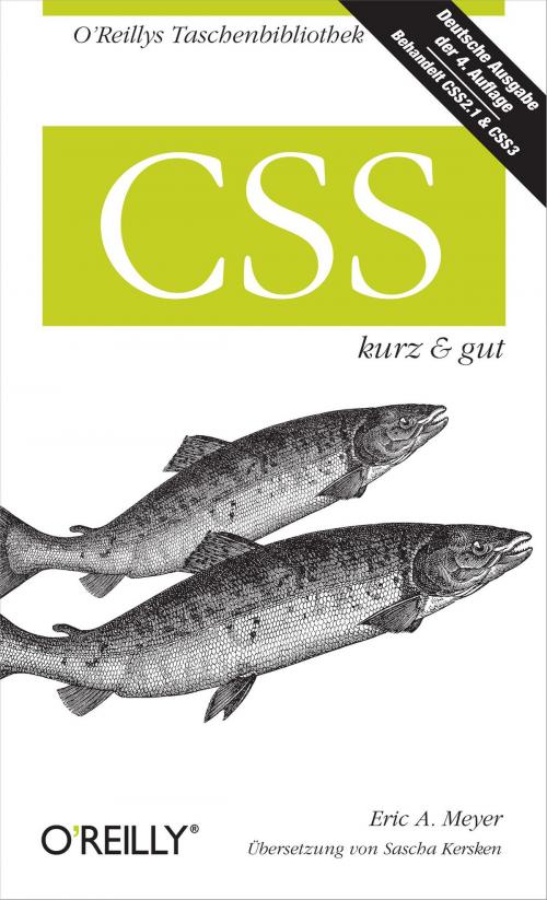 Cover of the book CSS kurz & gut by Eric A.  Meyer, O'Reilly Media