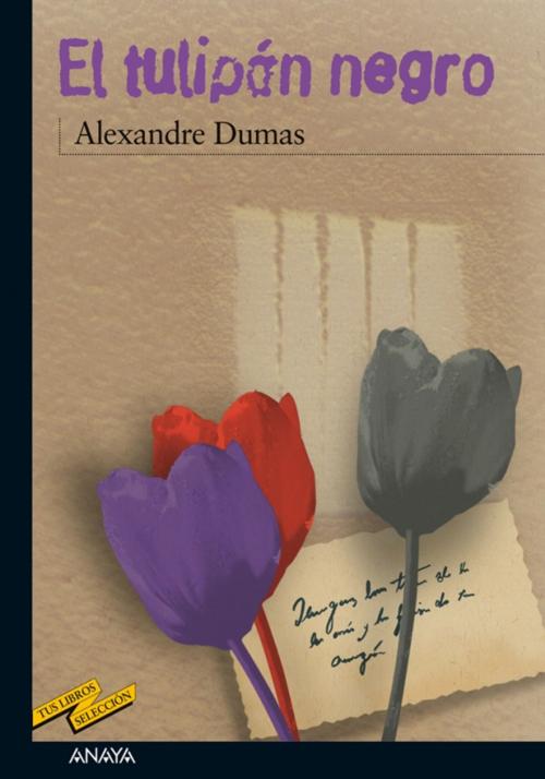 Cover of the book El tulipán negro by Alexandre Dumas, ANAYA INFANTIL Y JUVENIL