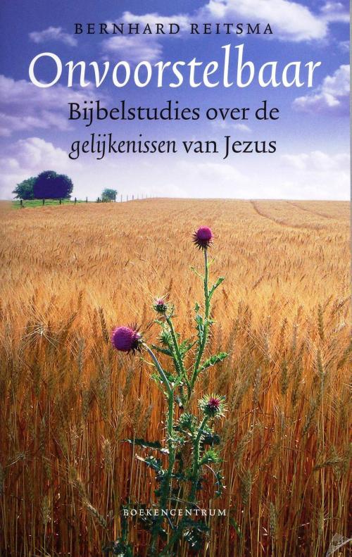 Cover of the book Onvoorstelbaar by Bernhard Reitsma, VBK Media