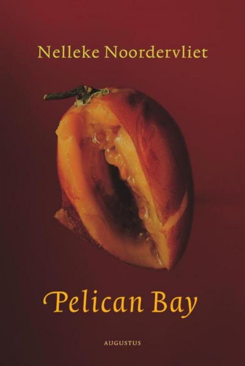 Cover of the book Pelican bay by Nelleke Noordervliet, Atlas Contact, Uitgeverij