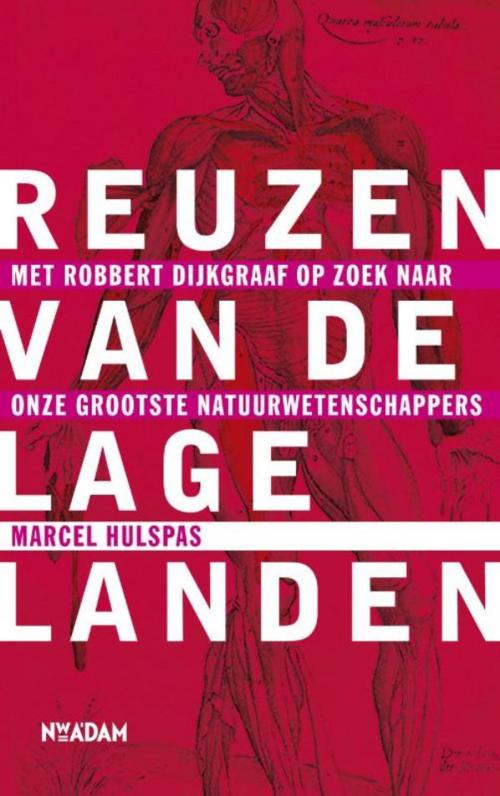 Cover of the book Reuzen van de lage landen by Marcel Hulspas, Nieuw Amsterdam